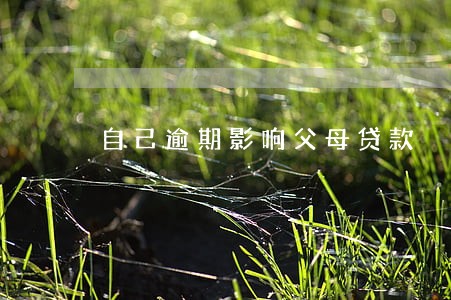 自己逾期影响父母贷款 自己逾期影响父母贷款