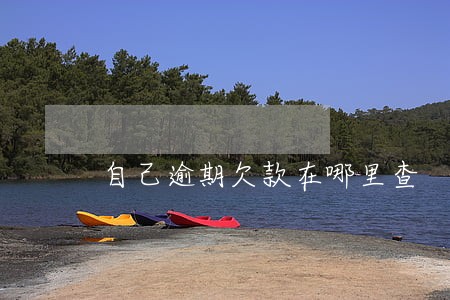 自己逾期欠款在哪里查 自己逾期欠款在哪里查