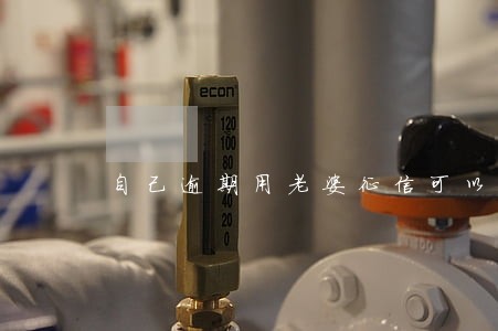 自己逾期用老婆征信可以买房吗 自己逾期用老婆征信可以买房吗