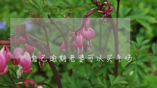 自己逾期老婆可以买车吗 自己逾期老婆可以买车吗