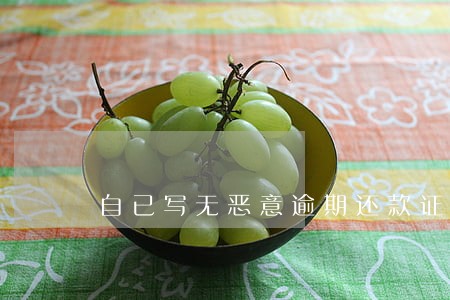 自已写无恶意逾期还款证明 自已写无恶意逾期还款证明