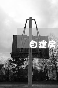 自建房不能做诉讼担保