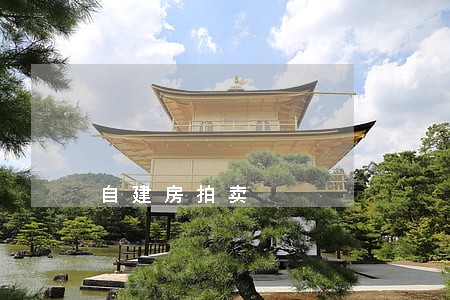 自建房拍卖 自建房拍卖