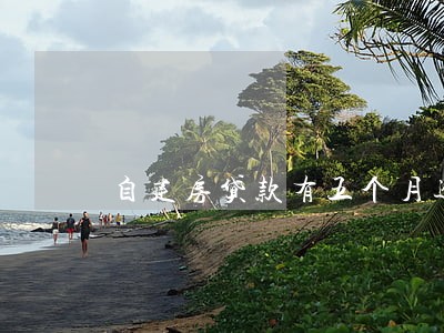 自建房贷款有五个月逾期记录 自建房贷款有五个月逾期记录