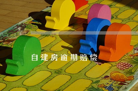 自建房逾期赔偿 自建房逾期赔偿