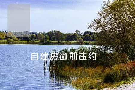 自建房逾期违约 自建房逾期违约