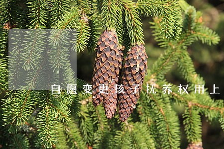 自愿变更孩子抚养权用上法院吗 自愿变更孩子抚养权用上法院吗