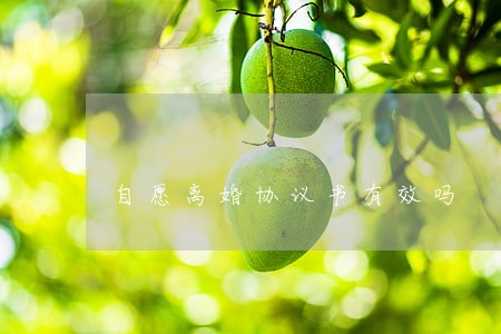 自愿离婚协议书有效吗 自愿离婚协议书有效吗