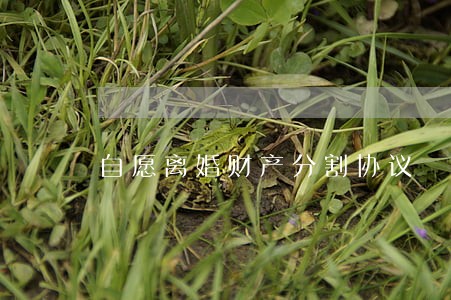 自愿离婚财产分割协议