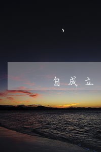 自成立无重大违法记录承诺函 自成立无重大违法记录承诺函