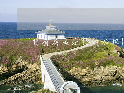 自有房屋进行诉讼担保