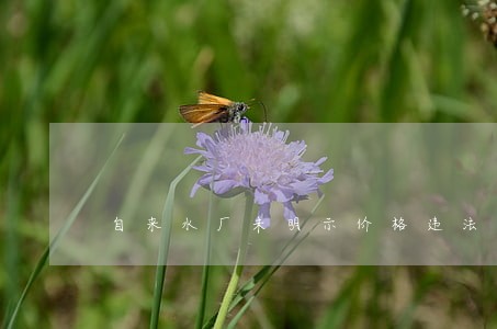 自来水厂未明示价格违法案