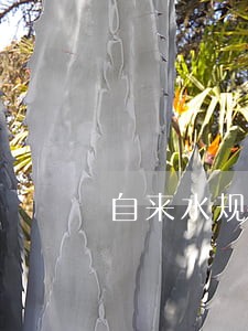自来水规定逾期多久没缴费停水 自来水规定逾期多久没缴费停水