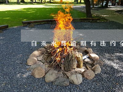 自来水费逾期有违约金吗 自来水费逾期有违约金吗