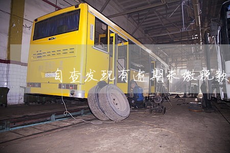 自查发现有逾期未缴税款 自查发现有逾期未缴税款