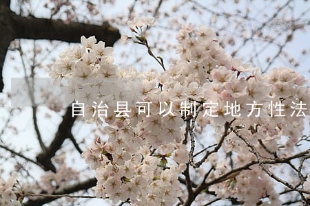 自治县可以制定地方性法规吗