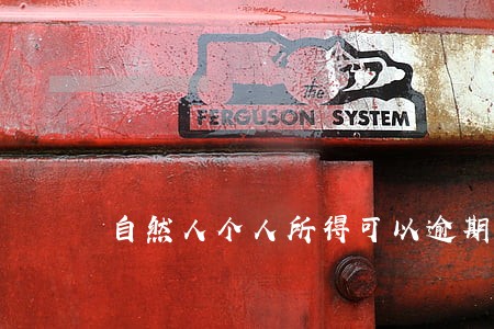 自然人个人所得可以逾期申报吗 自然人个人所得可以逾期申报吗
