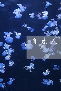 自然人个税申报怎么查逾期记录