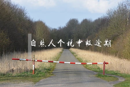 自然人个税申报逾期 自然人个税申报逾期