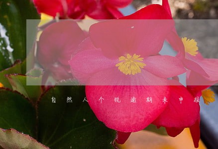 自然人个税逾期未申报 自然人个税逾期未申报