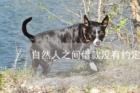 自然人之间借款没有约定利息逾期 自然人之间借款没有约定利息逾期