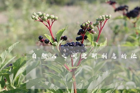 自然人之间逾期利息的法律规定 自然人之间逾期利息的法律规定