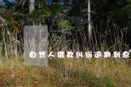 自然人借款纠纷逾期利息 自然人借款纠纷逾期利息