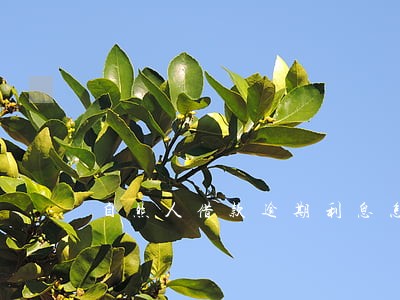自然人借款逾期利息怎么计算 自然人借款逾期利息怎么计算