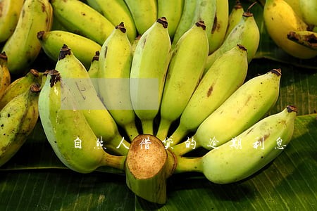 自然人借贷的逾期利息 自然人借贷的逾期利息