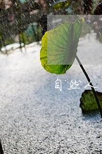 自然人借贷约定了逾期费 自然人借贷约定了逾期费