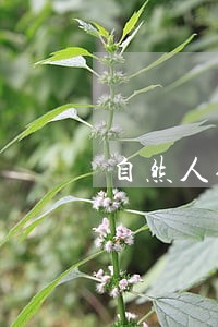 自然人债务逾期利息 自然人债务逾期利息