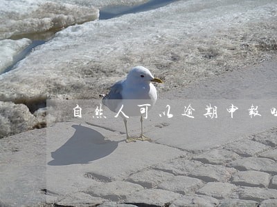自然人可以逾期申报吗 自然人可以逾期申报吗