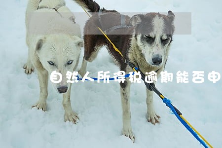 自然人所得税逾期能否申报 自然人所得税逾期能否申报