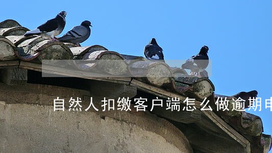 自然人扣缴客户端怎么做逾期申报 自然人扣缴客户端怎么做逾期申报