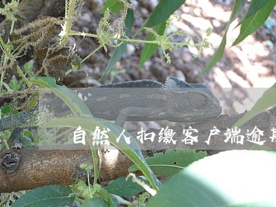 自然人扣缴客户端逾期未报 自然人扣缴客户端逾期未报