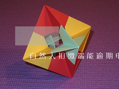 自然人扣缴端能逾期申报吗