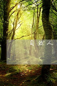 自然人民间借贷逾期利息 自然人民间借贷逾期利息