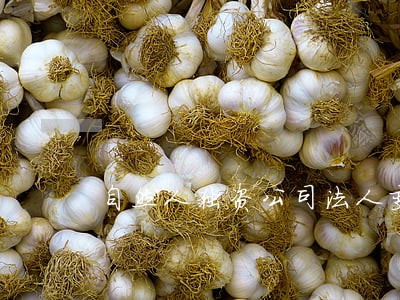 自然人独资公司法人变更 自然人独资公司法人变更