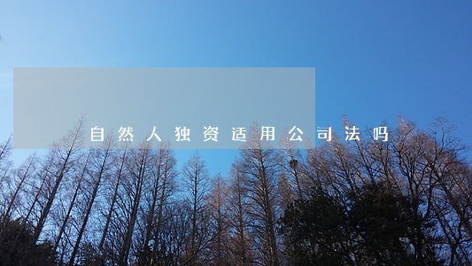 自然人独资适用公司法吗 自然人独资适用公司法吗