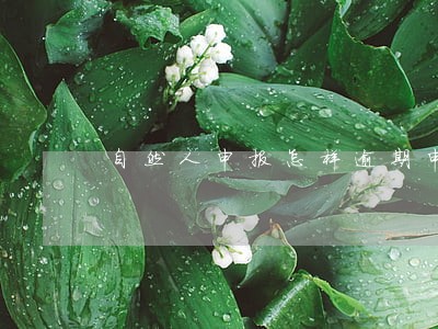 自然人申报怎样逾期申报 自然人申报怎样逾期申报