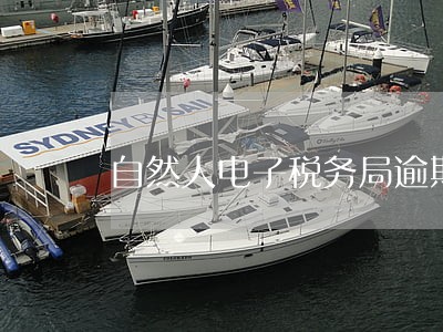 自然人电子税务局逾期两天 自然人电子税务局逾期两天