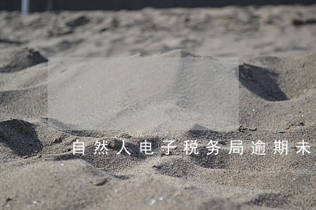 自然人电子税务局逾期未申报 自然人电子税务局逾期未申报