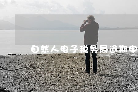 自然人电子税务局逾期申报在哪里