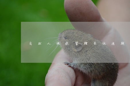 自然人税收管理系统逾期未申报 自然人税收管理系统逾期未申报