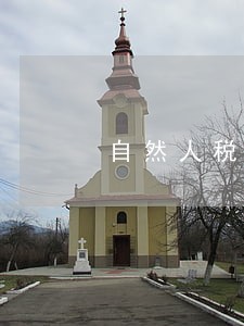 自然人税收管理系统逾期申报 自然人税收管理系统逾期申报