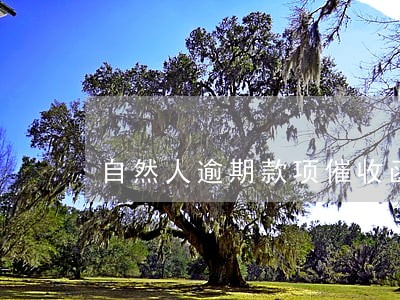 自然人逾期款项催收函 自然人逾期款项催收函