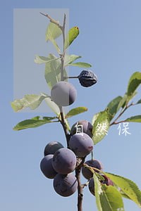 自然保护区法律咨询 自然保护区法律咨询