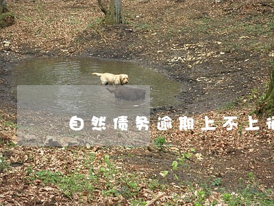 自然债务逾期上不上征信 自然债务逾期上不上征信