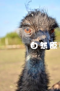 自然原因工程逾期算违约吗 自然原因工程逾期算违约吗