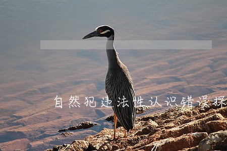 自然犯违法性认识错误探究